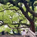 亚洲艺术公园 - 佛山市旅游 缩略图 1
