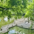 亚洲艺术公园 - 佛山市旅游 缩略图 4