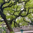亚洲艺术公园 - 佛山市旅游 缩略图 3