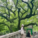 亚洲艺术公园 - 佛山市旅游 缩略图 8