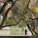 亚洲艺术公园 - 佛山市旅游 缩略图 9