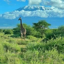 肯尼亚NarokNarok West - 其他旅游 缩略图 7
