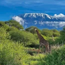肯尼亚NarokNarok West - 其他旅游 缩略图 6