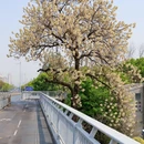 宁波老外滩 - 宁波市旅游 缩略图 1