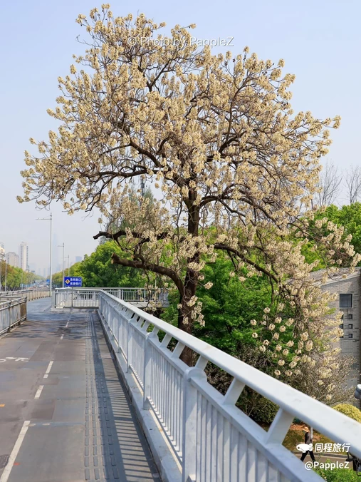 宁波老外滩 - 宁波市旅游