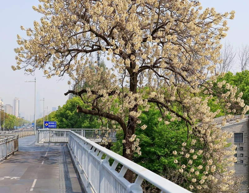 宁波老外滩 - 宁波市旅游 1