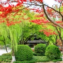 宁波老外滩 - 宁波市旅游 缩略图 9