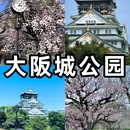 大板镇 - 赤峰市旅游 缩略图 6