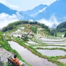 丽水学院 - 丽水市旅游 缩略图 5