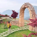 丽水学院 - 丽水市旅游 缩略图 6