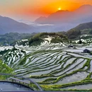 丽水学院 - 丽水市旅游 缩略图 9