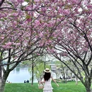 南京银杏湖乐园 - 南京市旅游 缩略图 6