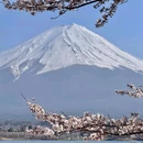 长崎 - 日本旅游 缩略图 4