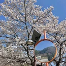 长崎 - 日本旅游 缩略图 5