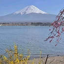 长崎 - 日本旅游 缩略图 8