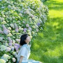 南京中山植物园-北园 - 南京市旅游 缩略图 4