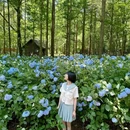 南京中山植物园-北园 - 南京市旅游 缩略图 6