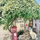 三月杂货铺(北段新店) - 苏州市旅游 缩略图 2