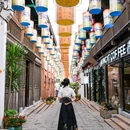 安庆菱湖公园 - 安庆市旅游 缩略图 3