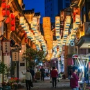安庆菱湖公园 - 安庆市旅游 缩略图 7