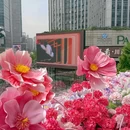 成都春熙华颐酒店 - 成都市旅游 缩略图 4