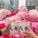 成都春熙华颐酒店 - 成都市旅游 缩略图 6