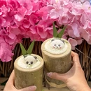 成都春熙华颐酒店 - 成都市旅游 缩略图 9