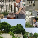 杭州西湖 - 杭州市旅游 缩略图 5