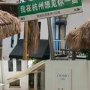 杭州西湖 - 杭州市旅游 缩略图 8