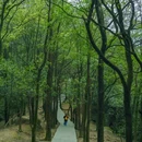 火炉山森林公园-东北门 - 广州市旅游 缩略图 1