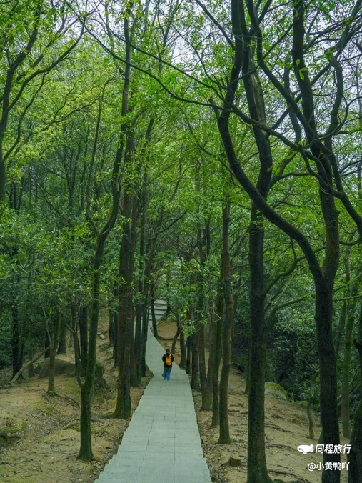 火炉山森林公园-东北门 - 广州市旅游