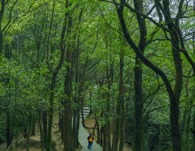 火炉山森林公园-东北门 - 广州市旅游 1