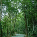 火炉山森林公园-东北门 - 广州市旅游 缩略图 3
