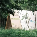 武汉大学 - 武汉旅游 缩略图 5