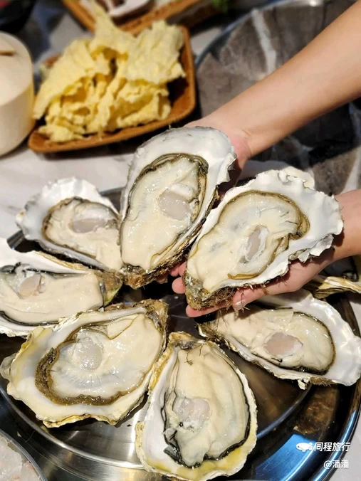蔡椰大·椰子鸡(佳宁娜店) - 深圳市旅游