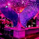 Libra Restaurant & jazz pub - 杭州市旅游 缩略图 6