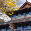 东华禅寺 - 韶关市旅游 缩略图 6