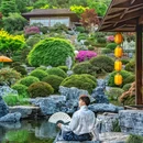 下渚湖·奇幻谷 - 湖州市旅游 缩略图 1