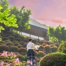 下渚湖·奇幻谷 - 湖州市旅游 缩略图 8
