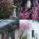 葛仙村国际旅游度假区 - 上饶市旅游 缩略图 8