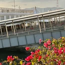 厦门轮渡码头 - 厦门旅游 缩略图 4