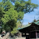晋祠公园 - 太原市旅游 缩略图 3