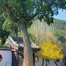 晋祠公园 - 太原市旅游 缩略图 4