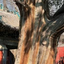 晋祠公园 - 太原市旅游 缩略图 2
