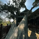 晋祠公园 - 太原市旅游 缩略图 8