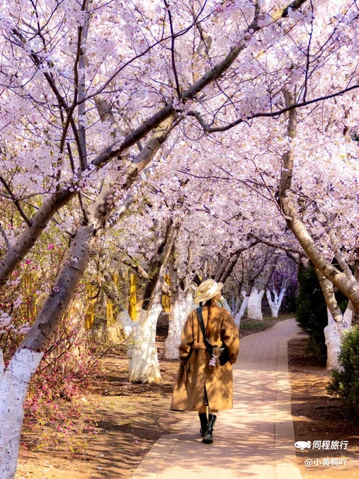 兰亭山水 - 大连市旅游