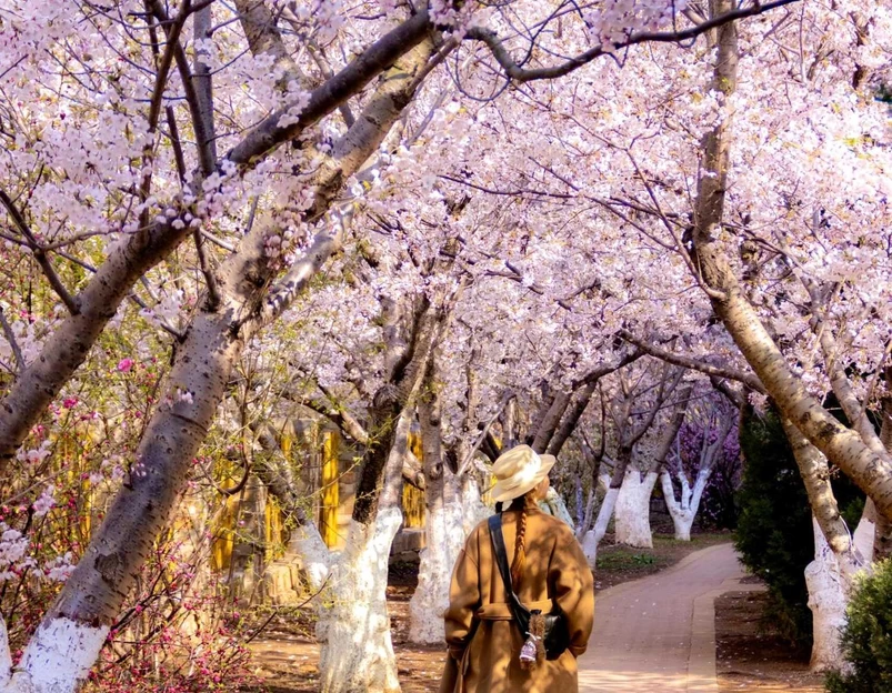 兰亭山水 - 大连市旅游 1