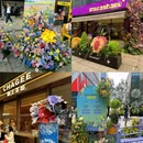 前滩休闲公园 - 上海市旅游 缩略图 2
