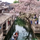 仓桥直街历史街区 - 绍兴市旅游 缩略图 1