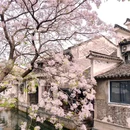 仓桥直街历史街区 - 绍兴市旅游 缩略图 5